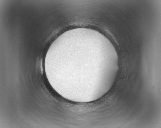 X0000053110020200508081237