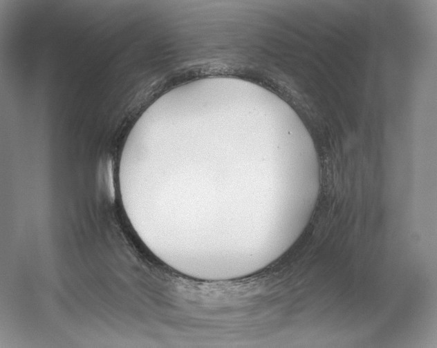 X0000053110022200508081237