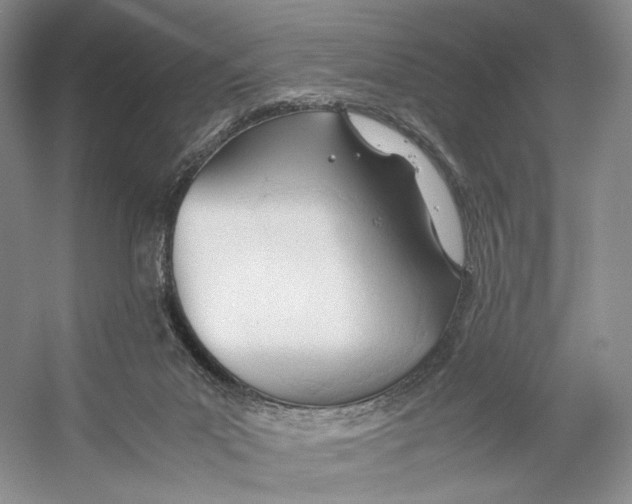 X0000053110023200508081237