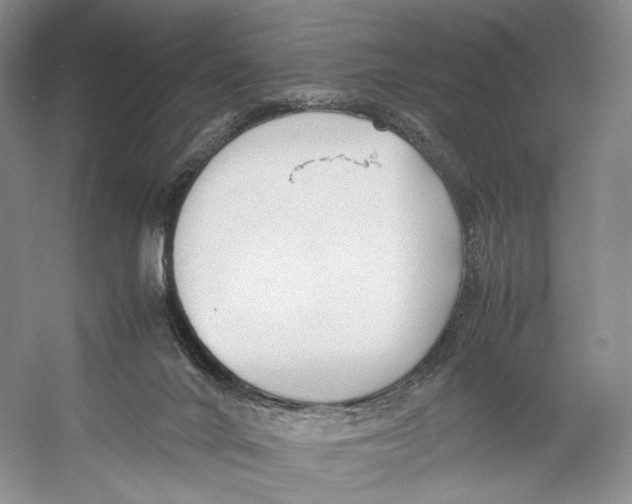 X0000053110024200508081237