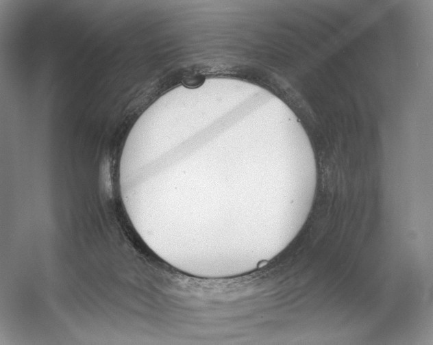 X0000053110026200508081237