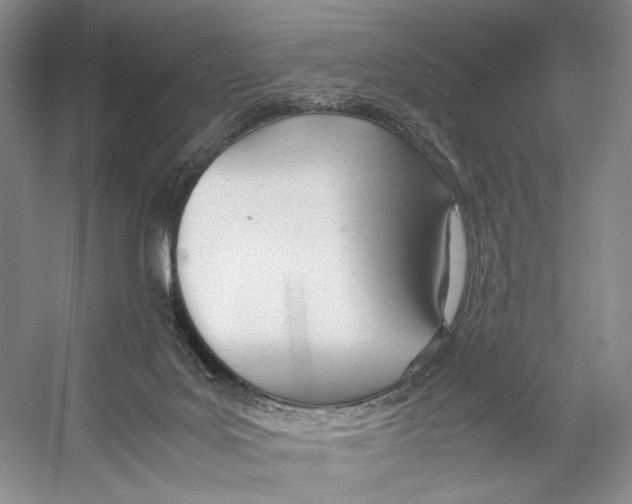 X0000053110027200508081237