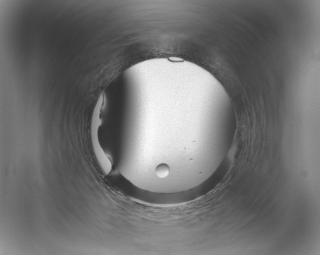 X0000053110029200508081237