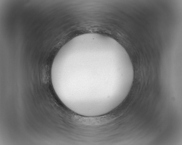 X0000053110030200508081237