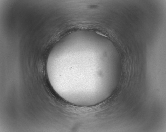 X0000053110031200508081237