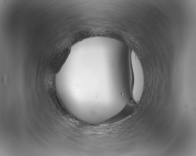 X0000053110033200508081237