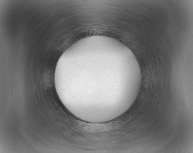 X0000053110034200508081237