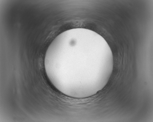 X0000053110035200508081237