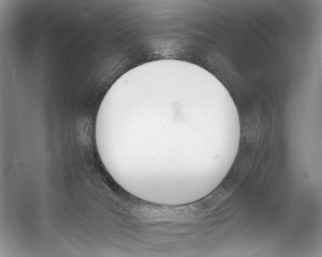 X0000053110036200508081237