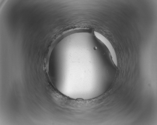 X0000053110037200508081237