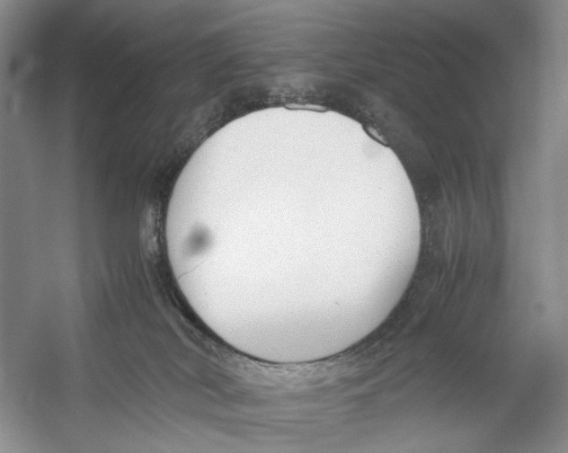 X0000053110038200508081237