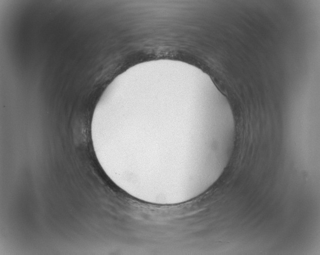 X0000053110039200508081237