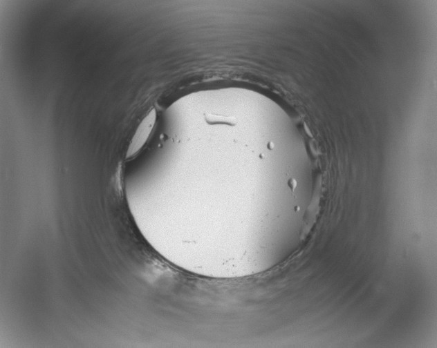 X0000053110041200508081237