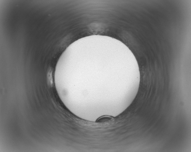 X0000053110042200508081237