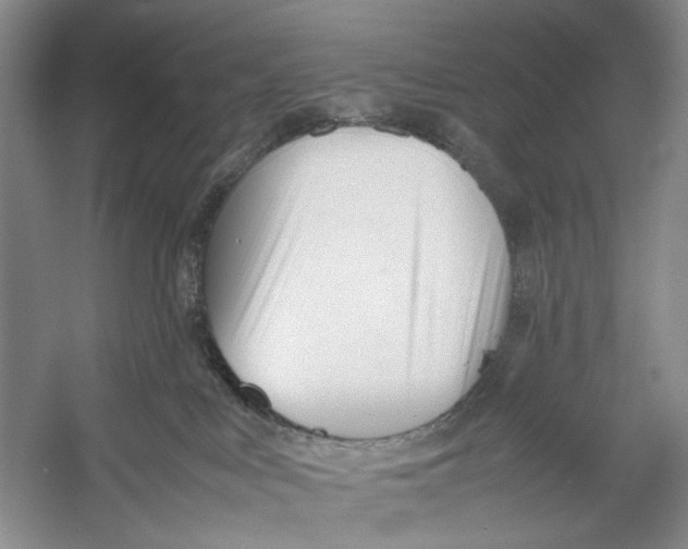 X0000053110043200508081237