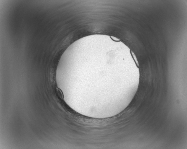 X0000053110044200508081237