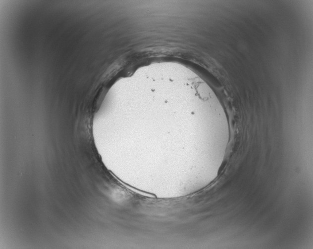 X0000053110045200508081237