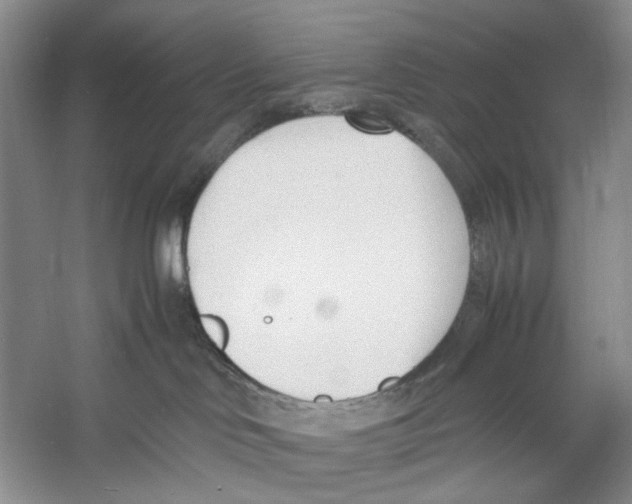 X0000053110046200508081237