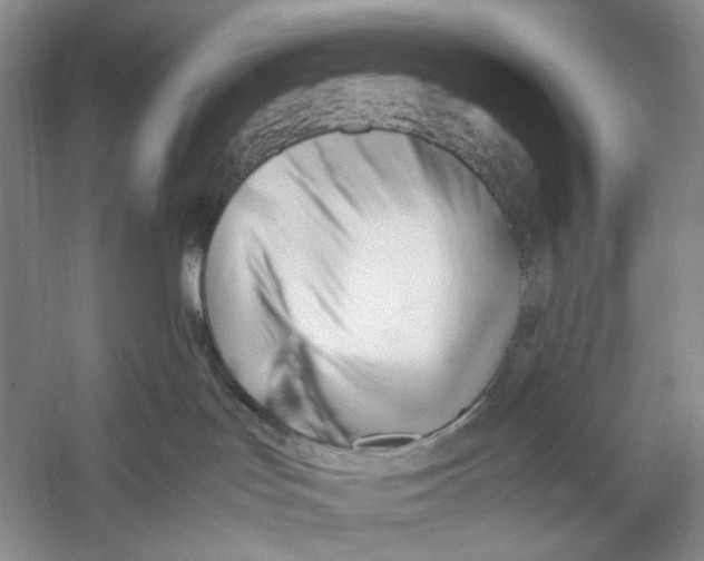 X0000053110047200508081237