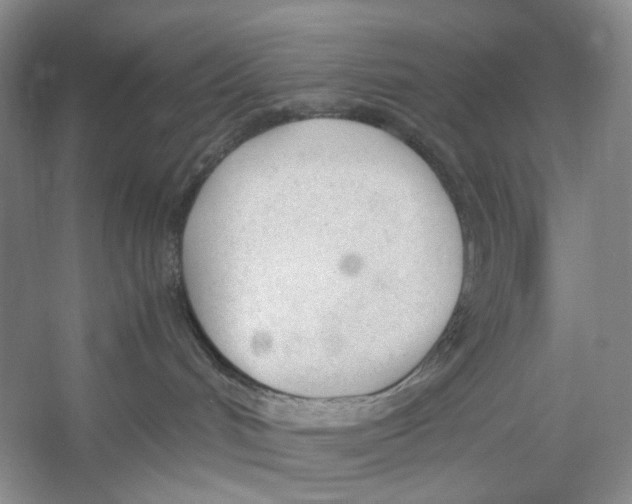 X0000053110048200508081237