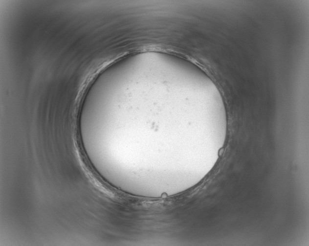 X0000053110049200508081236