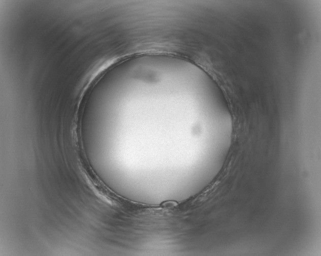 X0000053110050200508081236