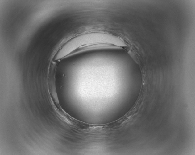 X0000053110052200508081236