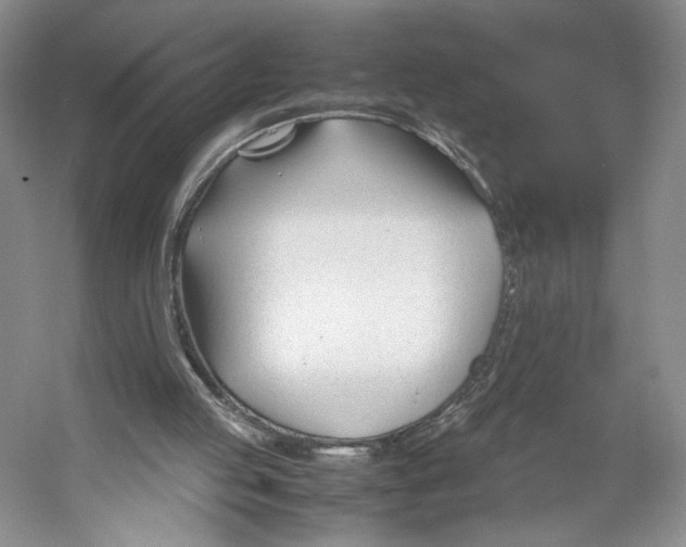 X0000053110053200508081236