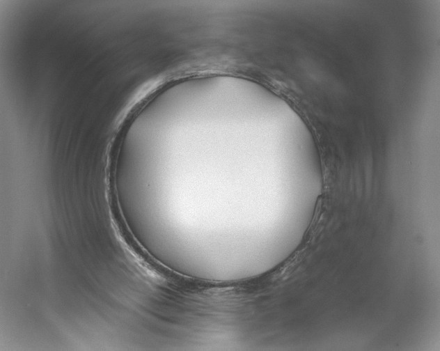 X0000053110054200508081236