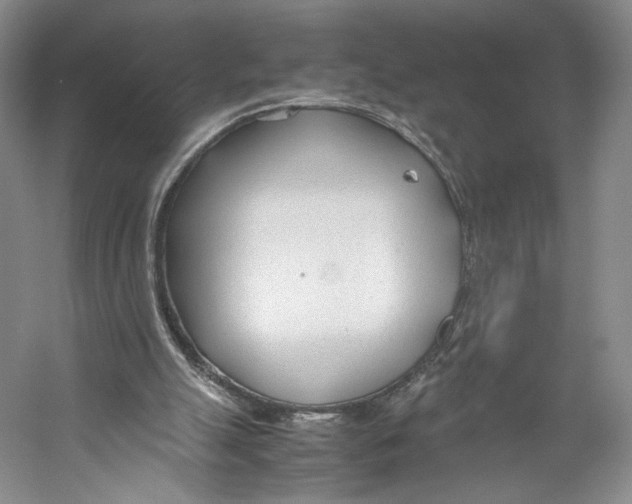 X0000053110055200508081236