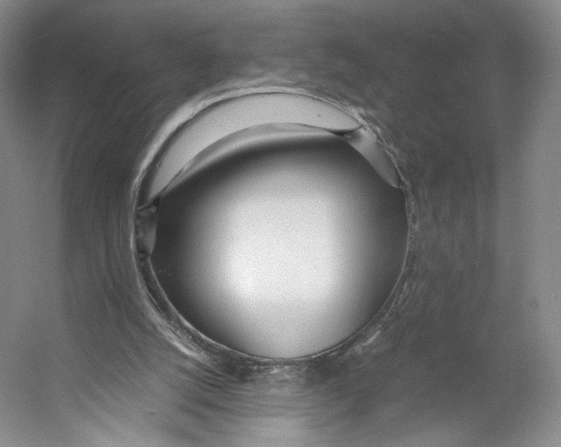 X0000053110056200508081236