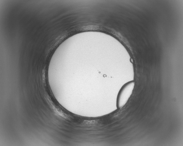 X0000053110057200508081236