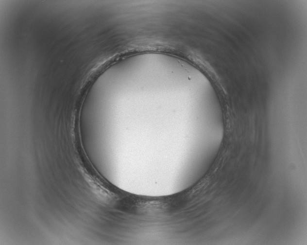 X0000053110058200508081236