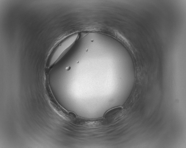 X0000053110059200508081236