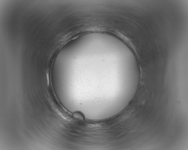 X0000053110061200508081236