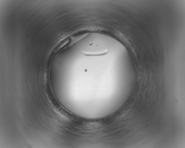 X0000053110063200508081236