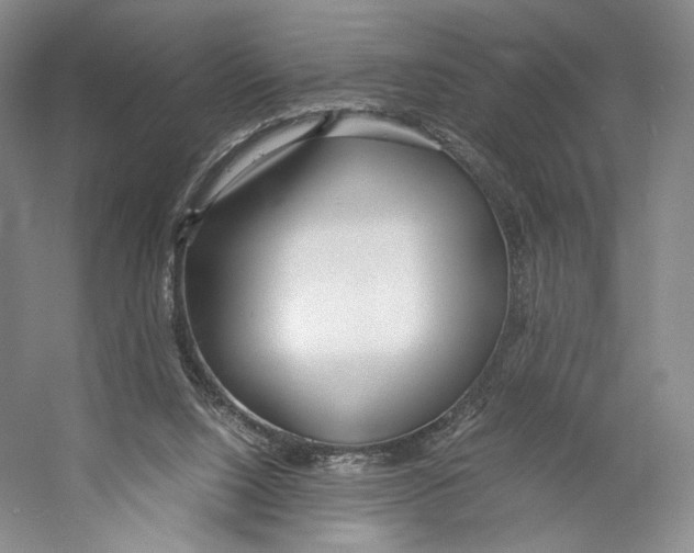 X0000053110064200508081236