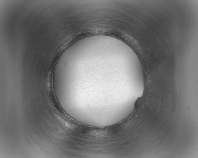 X0000053110065200508081236