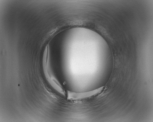 X0000053110068200508081236