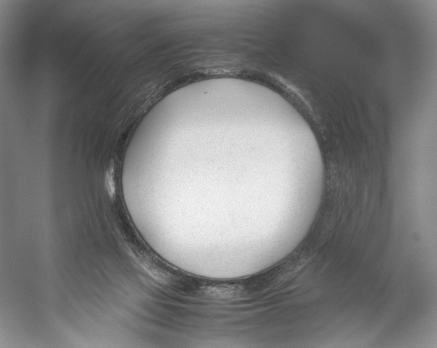 X0000053110069200508081236