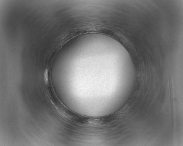 X0000053110070200508081236