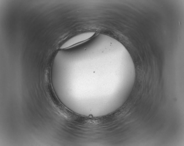 X0000053110071200508081236