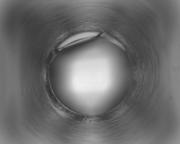 X0000053110072200508081236