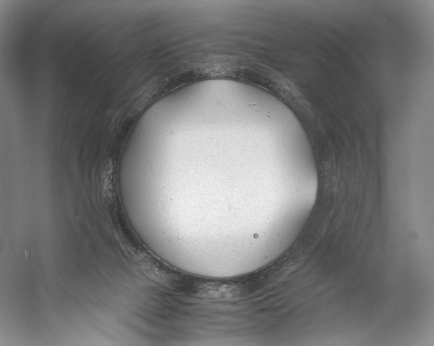 X0000053110073200508081236