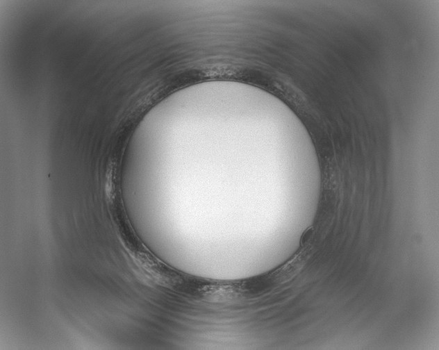 X0000053110074200508081236