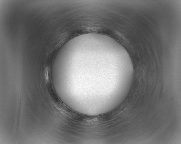 X0000053110075200508081236