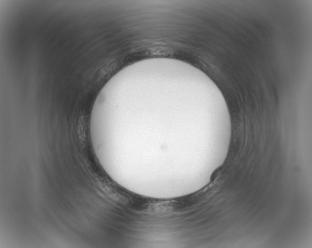 X0000053110078200508081236