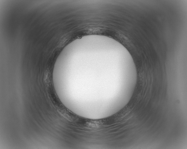 X0000053110079200508081236