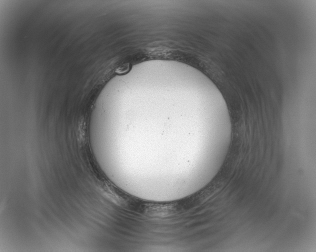 X0000053110081200508081236