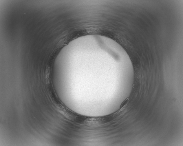 X0000053110082200508081236